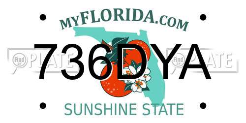 736DYA Florida License Plate