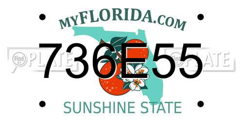 736E55 Florida License Plate