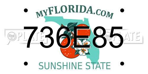 736E85 Florida License Plate