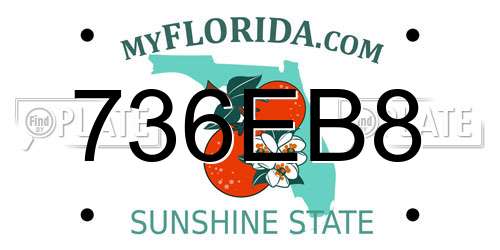 736EB8 Florida License Plate