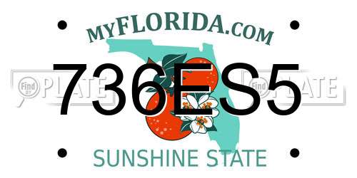 736ES5 Florida License Plate