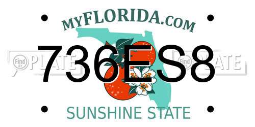 736ES8 Florida License Plate