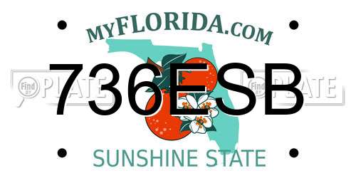 736ESB Florida License Plate