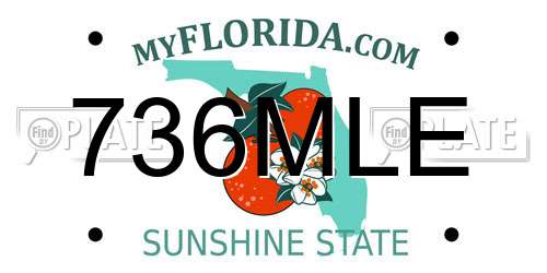 736MLE Florida License Plate