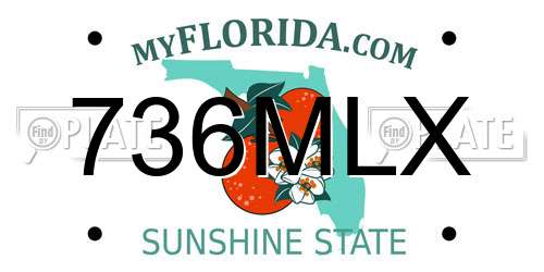 736MLX Florida License Plate