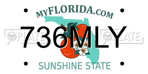 736MLY Florida License Plate