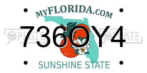 736OY4 Florida License Plate
