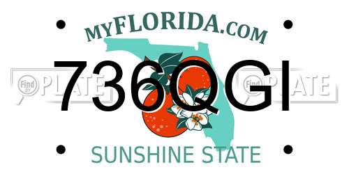 736QGI Florida License Plate