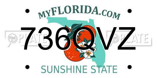 736QVZ Florida License Plate