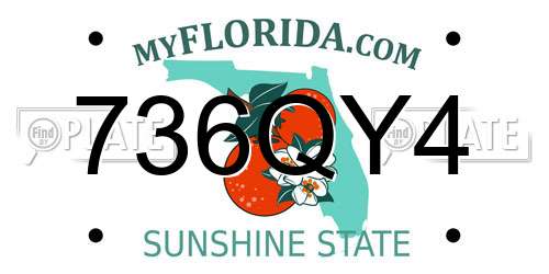 736QY4 Florida License Plate