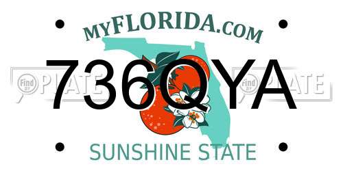 736QYA Florida License Plate