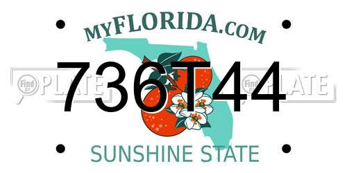 736T44 Florida License Plate