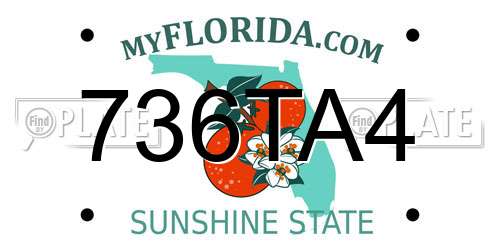 736TA4 Florida License Plate