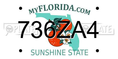 736ZA4 Florida License Plate