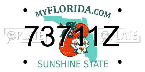 73711Z Florida License Plate