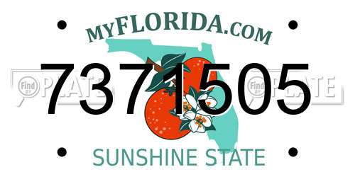 7371505 Florida License Plate