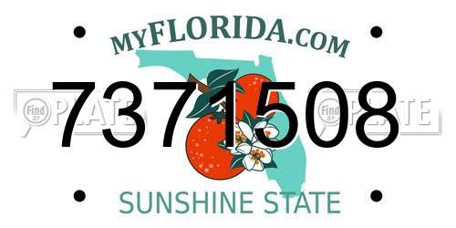 7371508 Florida License Plate