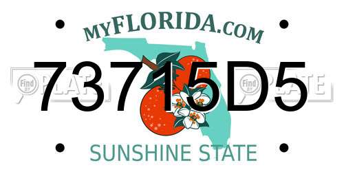 73715D5 Florida License Plate