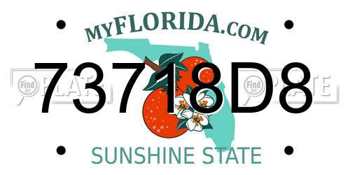 73718D8 Florida License Plate