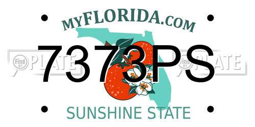 7373PS Florida License Plate
