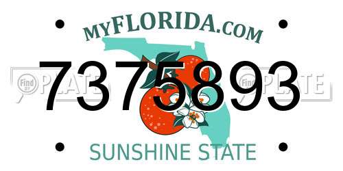 7375893 Florida License Plate