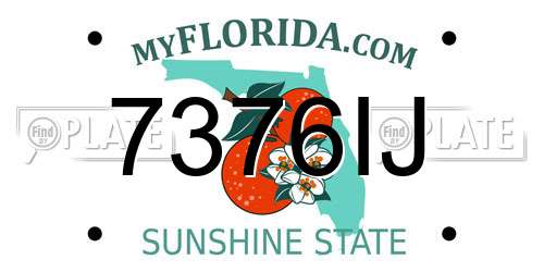 7376IJ Florida License Plate