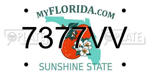 7377VV Florida License Plate