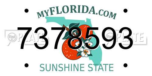 7378593 Florida License Plate