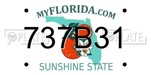 737B31 Florida License Plate