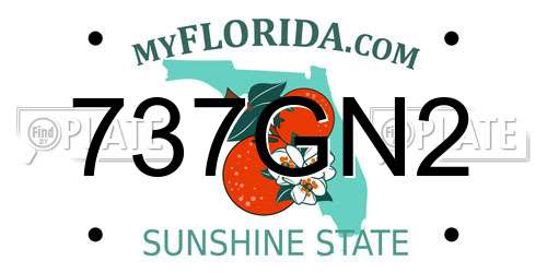 737GN2 Florida License Plate