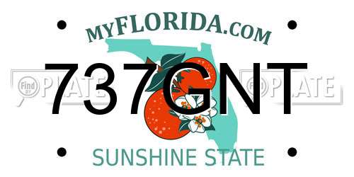737GNT Florida License Plate
