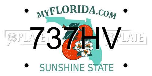 737HV Florida License Plate