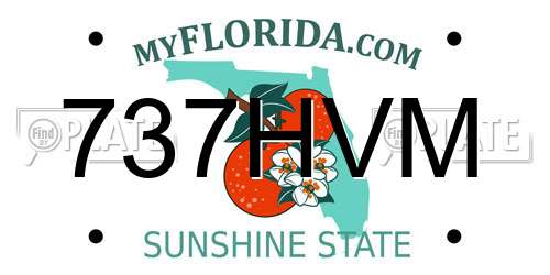 737HVM Florida License Plate