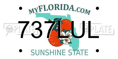 737LUL Florida License Plate
