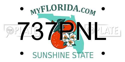 737PNL Florida License Plate