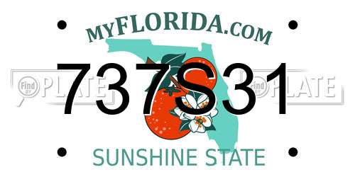 737S31 Florida License Plate
