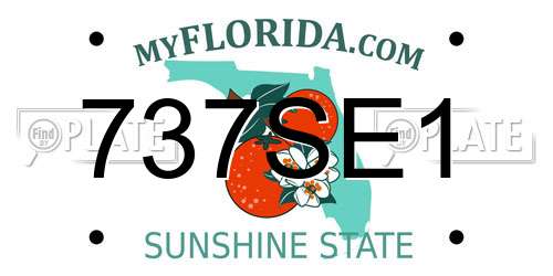 737SE1 Florida License Plate