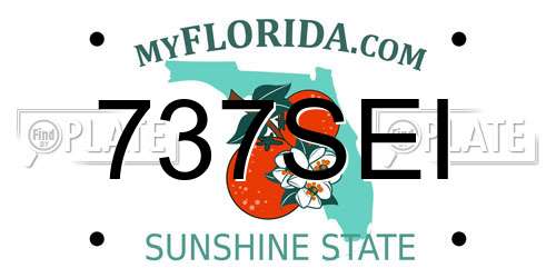 737SEI Florida License Plate
