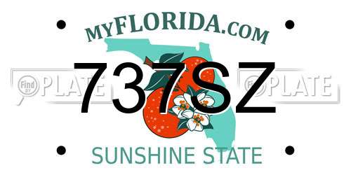 737SZ Florida License Plate