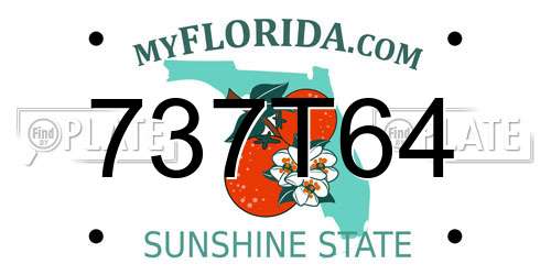 737T64 Florida License Plate