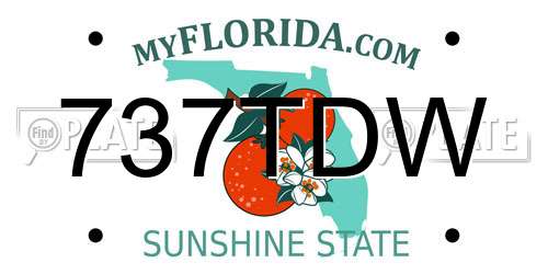 737TDW Florida License Plate
