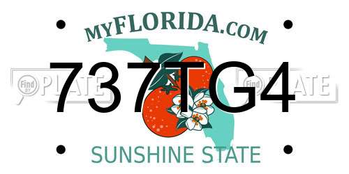 737TG4 Florida License Plate