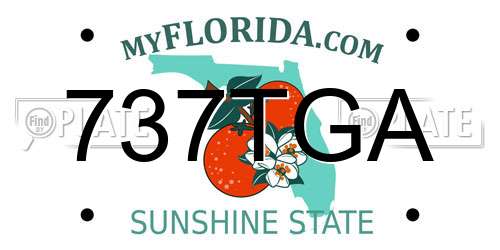 737TGA Florida License Plate