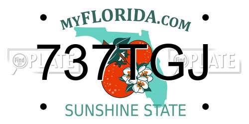 737TGJ Florida License Plate