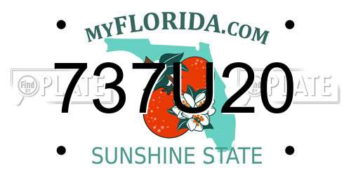 737U20 Florida License Plate