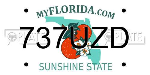 737UZD Florida License Plate