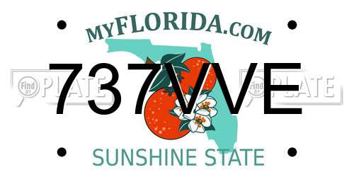 737VVE Florida License Plate