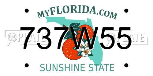 737W55 Florida License Plate