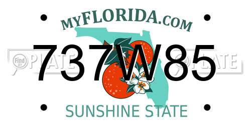 737W85 Florida License Plate