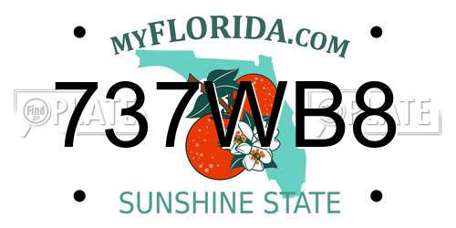 737WB8 Florida License Plate